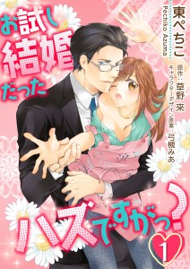 お試し結婚だったハズですがっ？【第１話】扉デザイン