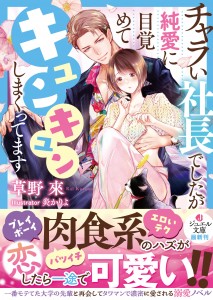 111charai_obi_shoei